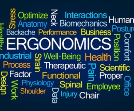 ergonomics audit