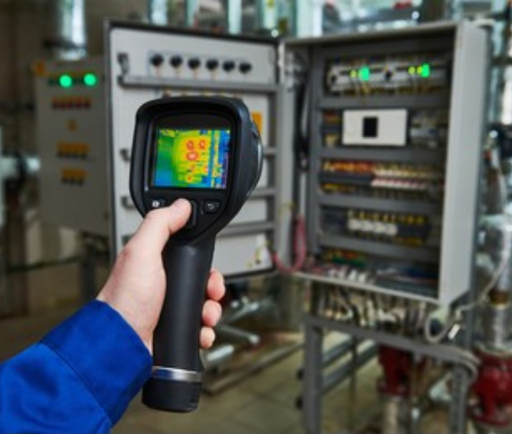 thermography assessment