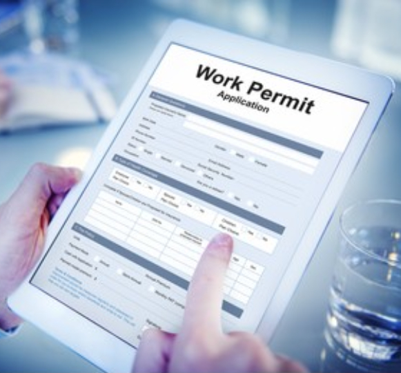 work permit software