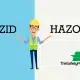 HAZOP and HAZID studies
