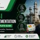 RBI Implementation A Complete Guide